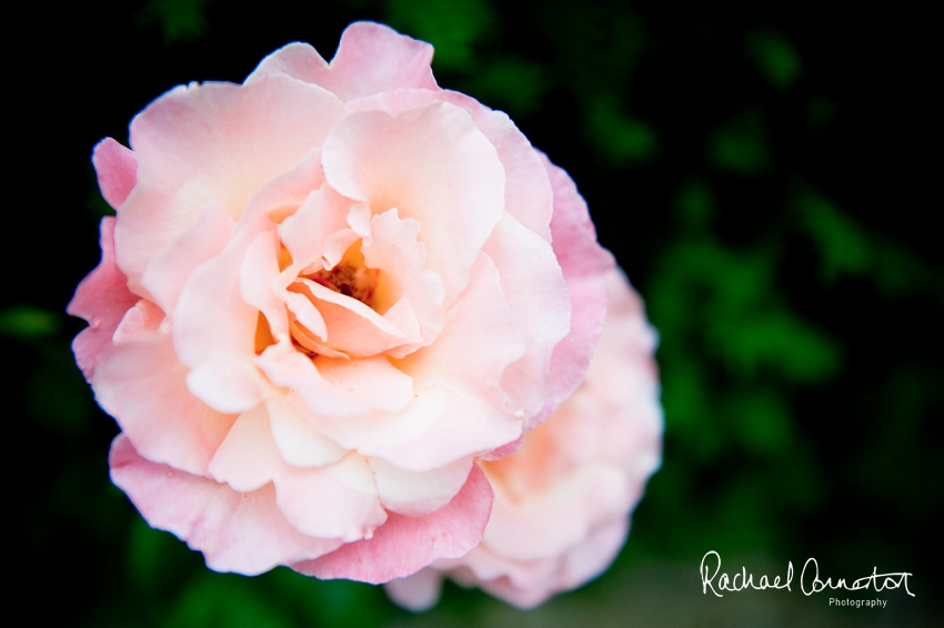 Professional colour photograph of Le Manoir Aux Quat’Saison by Rachael Connerton Photography