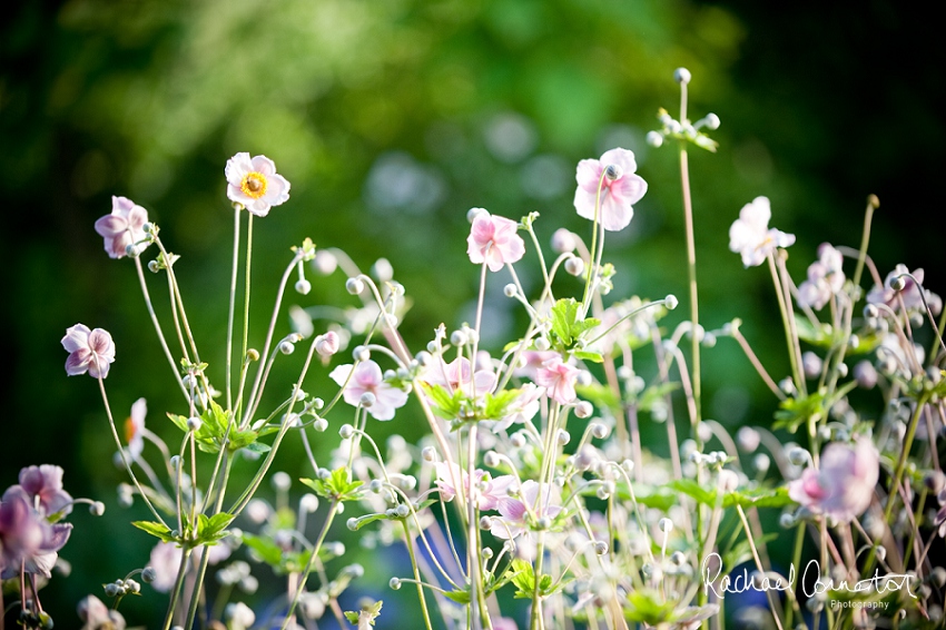 Professional colour photograph of Le Manoir Aux Quat’Saison by Rachael Connerton Photography