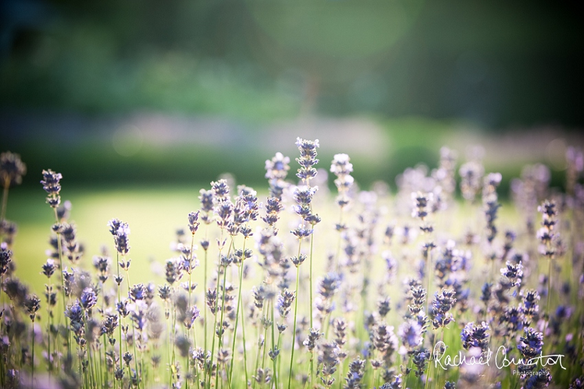 Professional colour photograph of Le Manoir Aux Quat’Saison by Rachael Connerton Photography