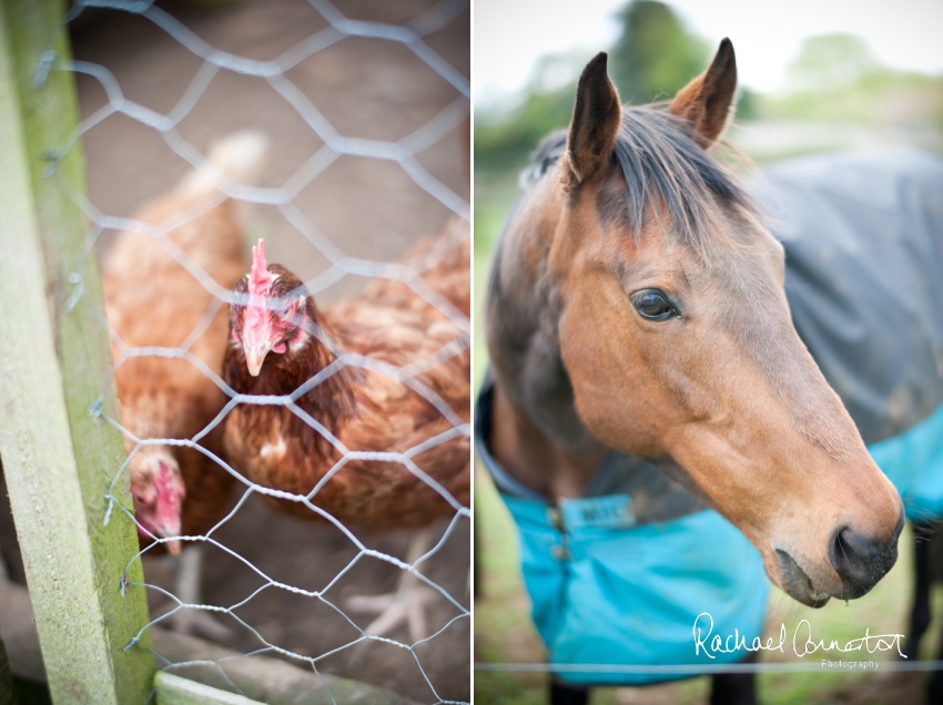 Professional colour photograph of Jodie and Lee's summer family lifestyle shoot by Rachael Connerton Photography