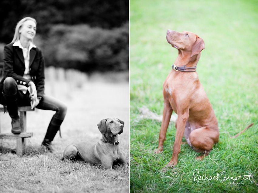 Professional colour photograph of pre-wedding shoots with children and dogs by Rachael Connerton Photography