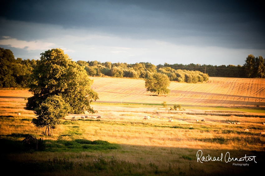 Professional colour photograph of Stapleford Park by Rachael Connerton Photography